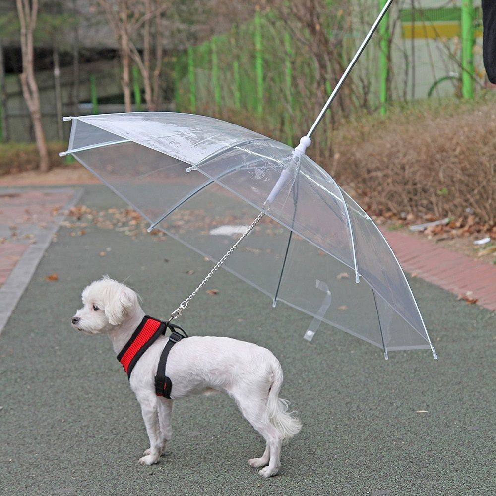 Rainproof Umbrella Dog Leash For Small Dogs