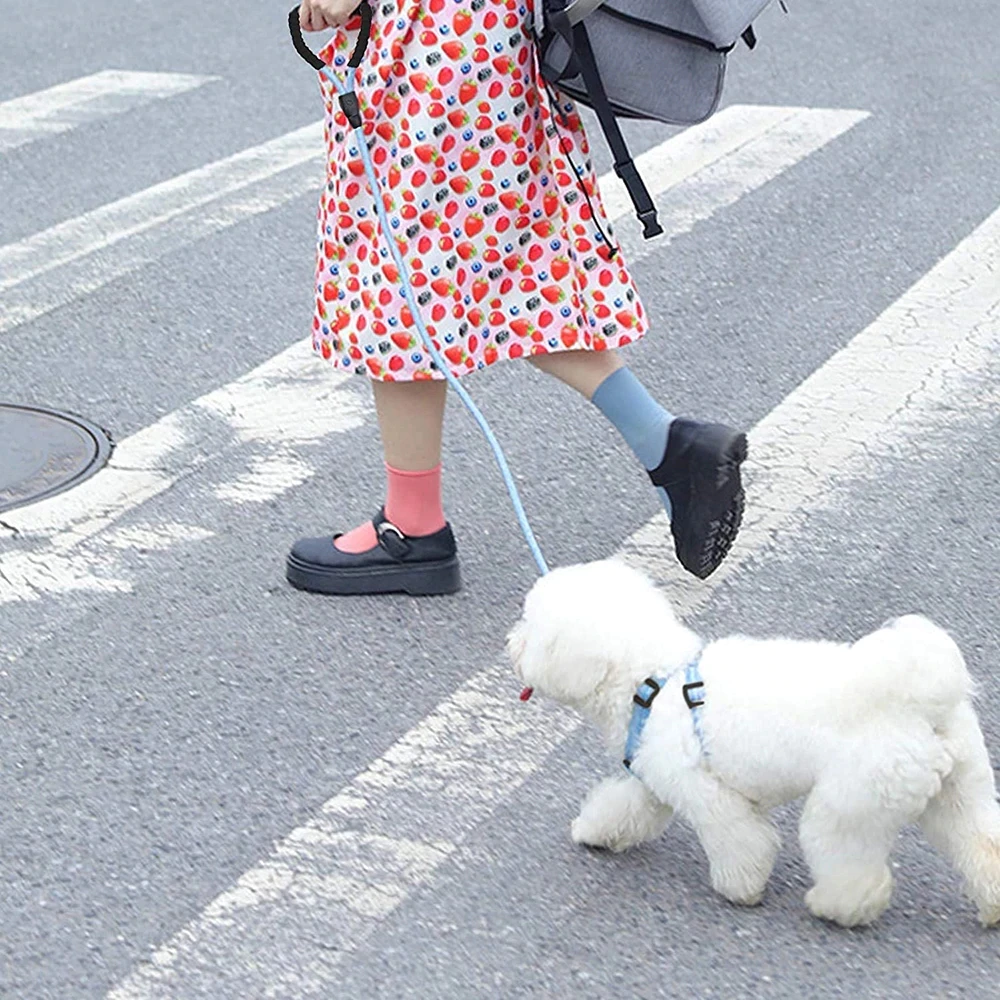 Nylon Rope Dog Leash