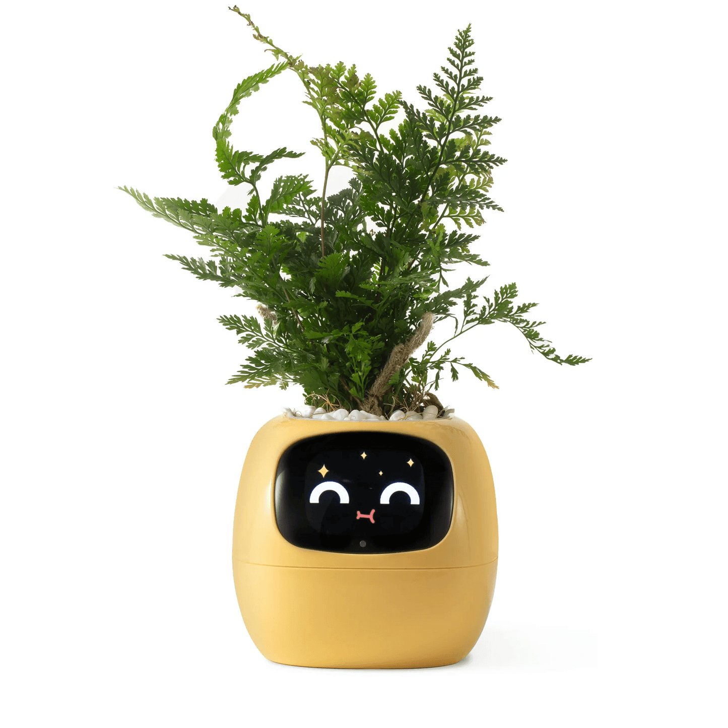Ivy AI Smart Plant Pot with Sensors and Interactive Indoor Gardening Companion