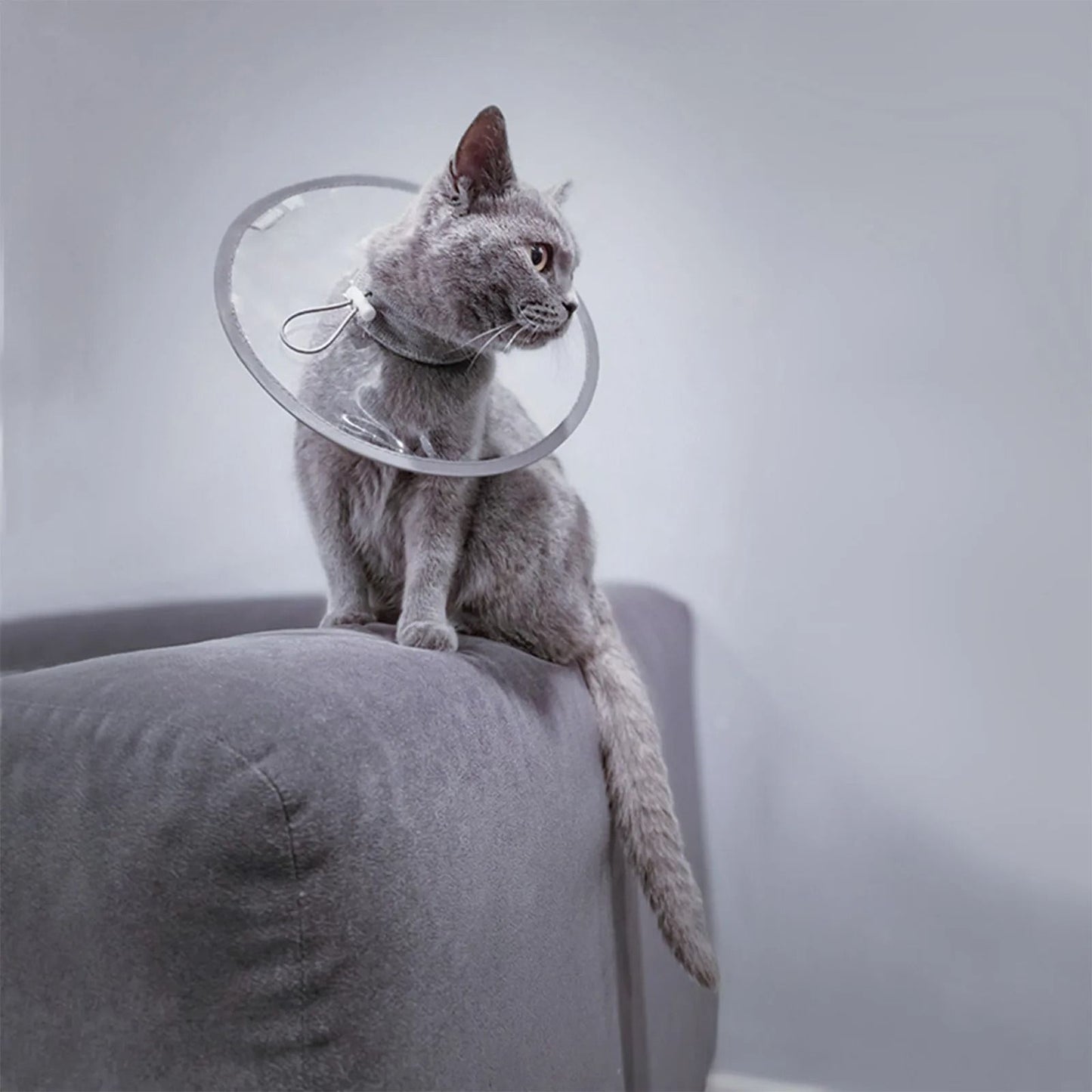 Adjustable Soft Pet Recovery Cone Collar
