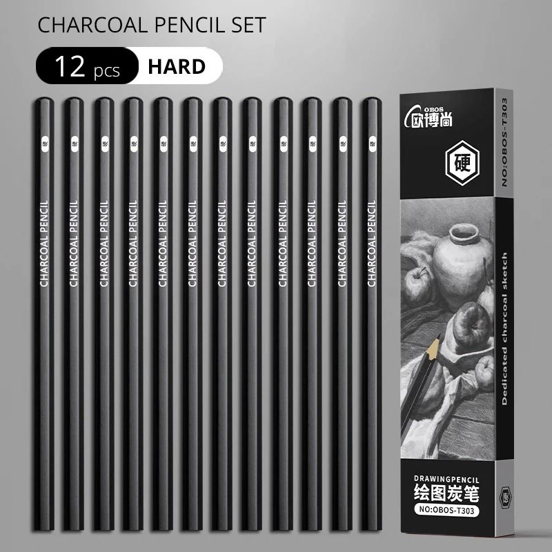Professional Multi-Grade Graphite & Charcoal Sketching Pencil Set