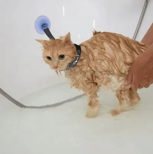 Pet Shower Restraint Collar Hands-Free Bathing & Grooming Support for Cats and Small Dogs