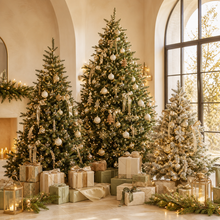 Christmas Trees