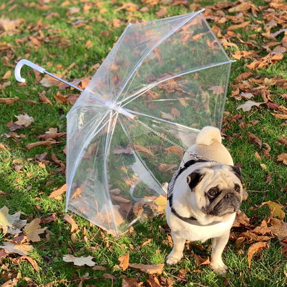 Rainproof Umbrella Dog Leash For Small Dogs
