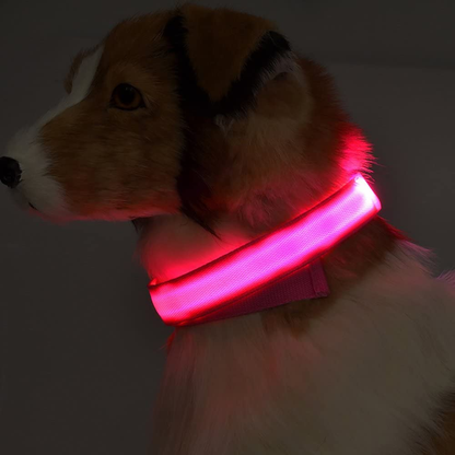 Battery Powered Luminous Dog Collar