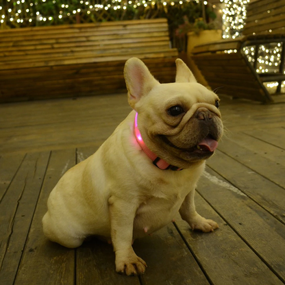 Battery Powered Luminous Dog Collar