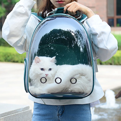 Clear Cat Backpack Carrier with Ventilated Space Capsule Design for Travel