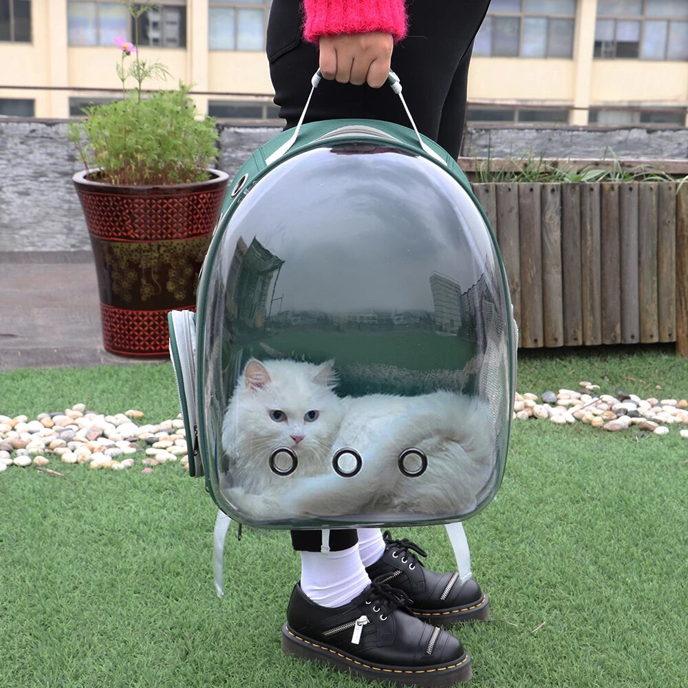 Clear Cat Backpack Carrier with Ventilated Space Capsule Design for Travel