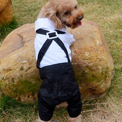 Dog Suit and Bow Tie Outfit dresss
