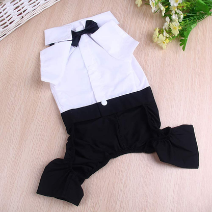 Dog Suit and Bow Tie Outfit dresss
