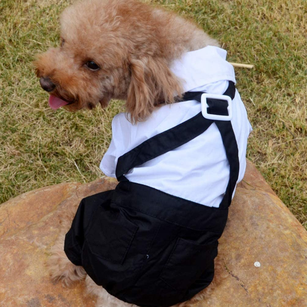 Dog Suit and Bow Tie Outfit dresss