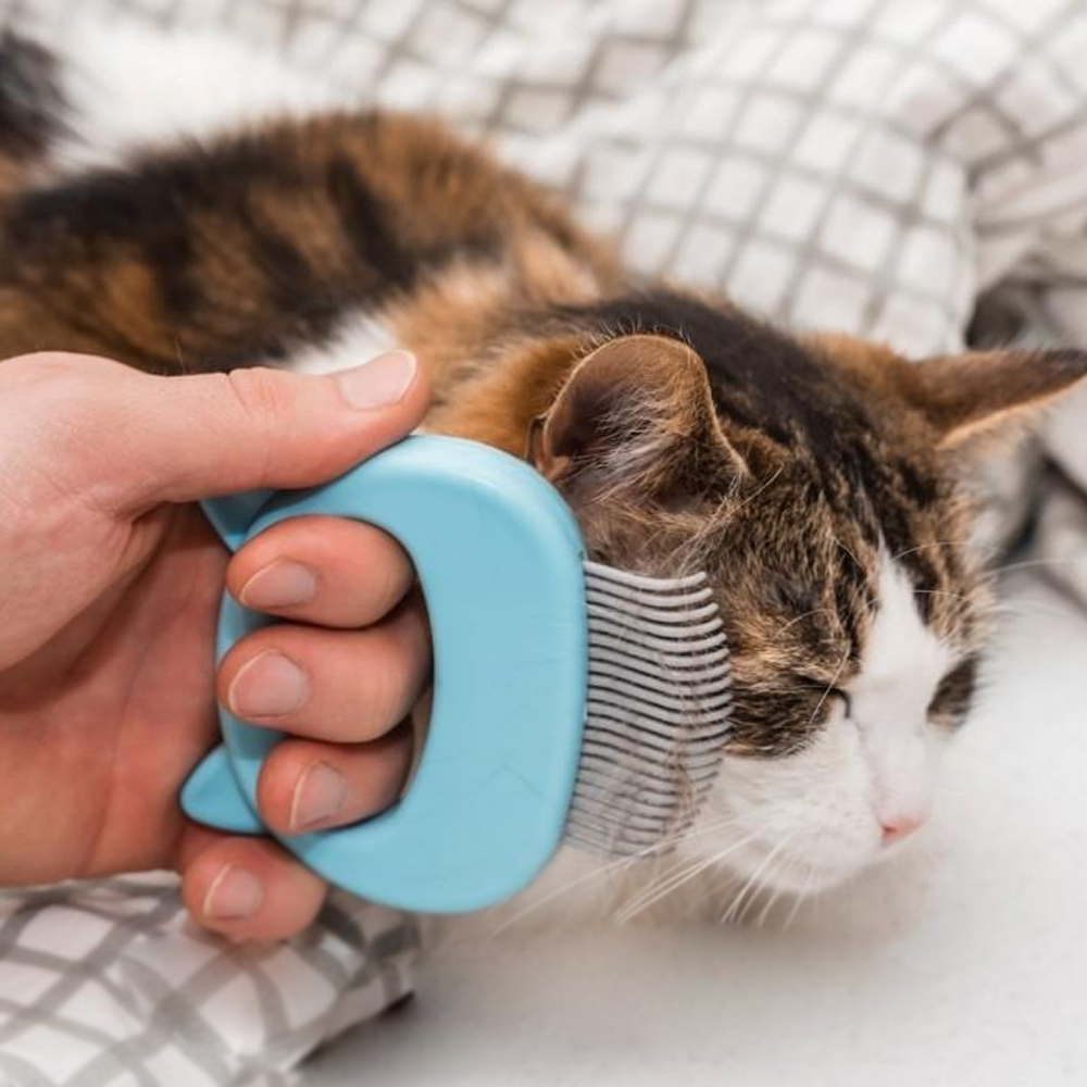 Pet Massaging Shell Comb For Relaxed Grooming Sessions