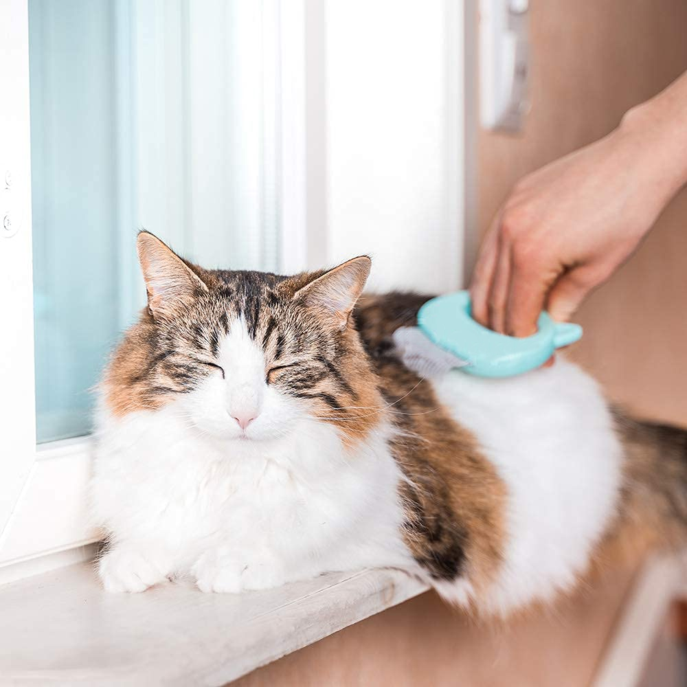 Pet Massaging Shell Comb For Relaxed Grooming Sessions