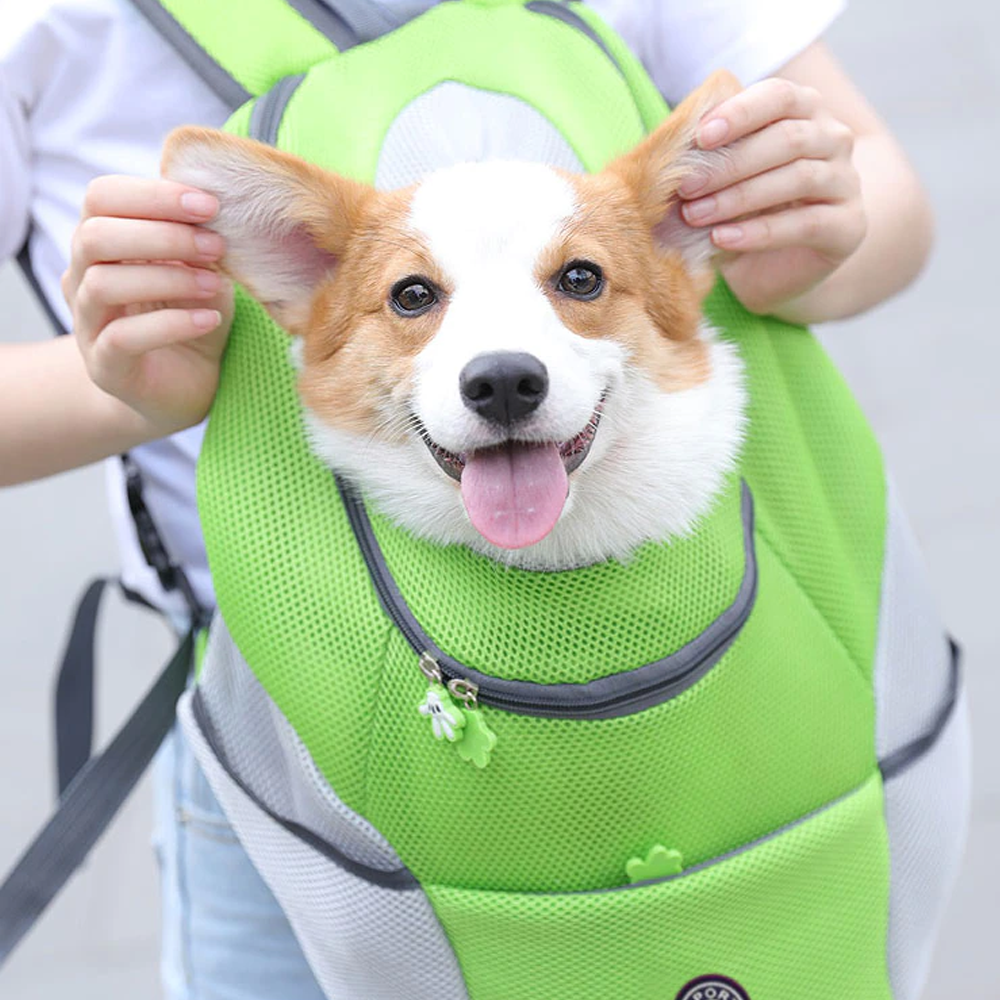 Dog Backpack