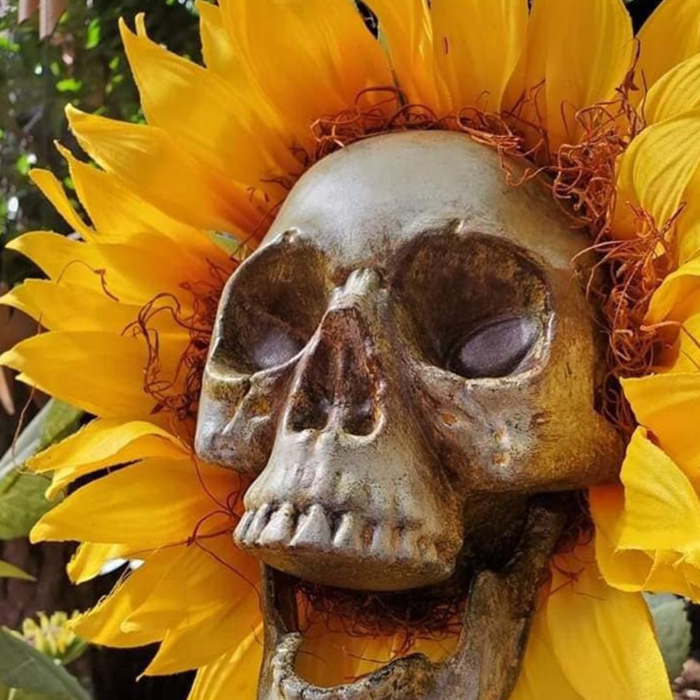 Skull Sunflower