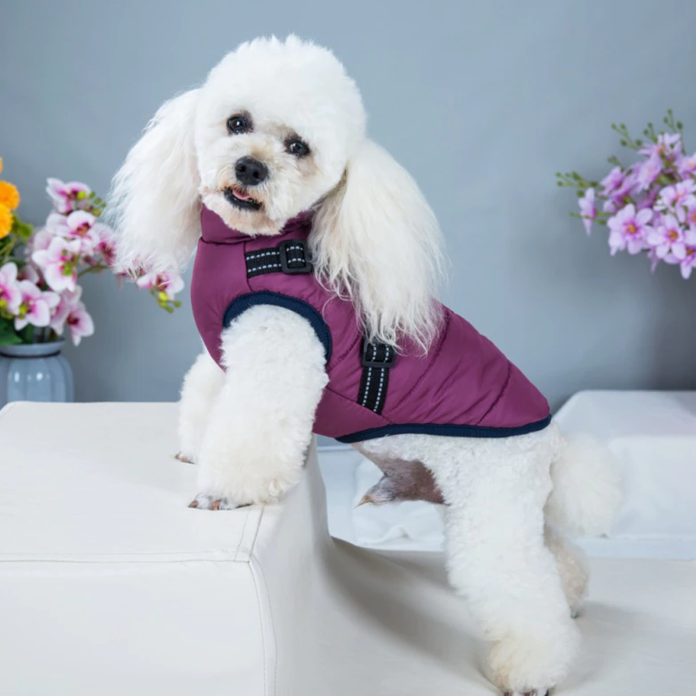Waterproof Winter Jacket with Built-In Harness – Dog Coat for Cold Weather
