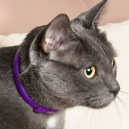 Cat Calming Collar