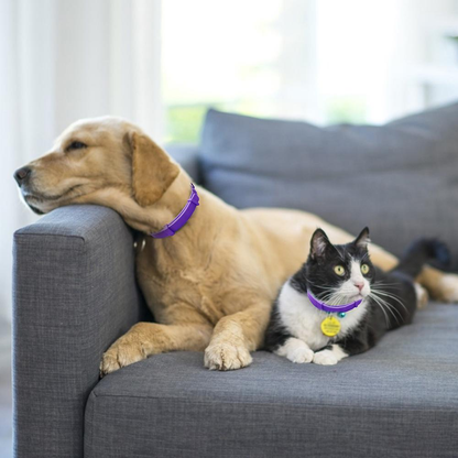Cat Calming Collar