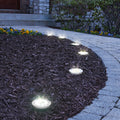 White Light (4 Pack)