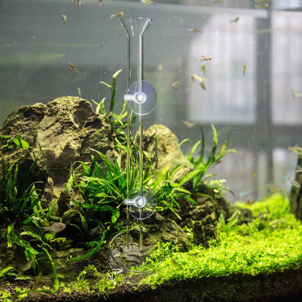 Aquarium Feeding Tube