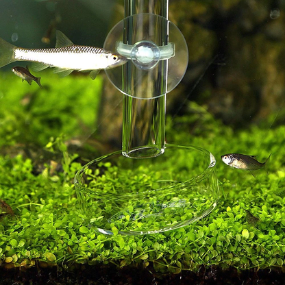 Aquarium Feeding Tube