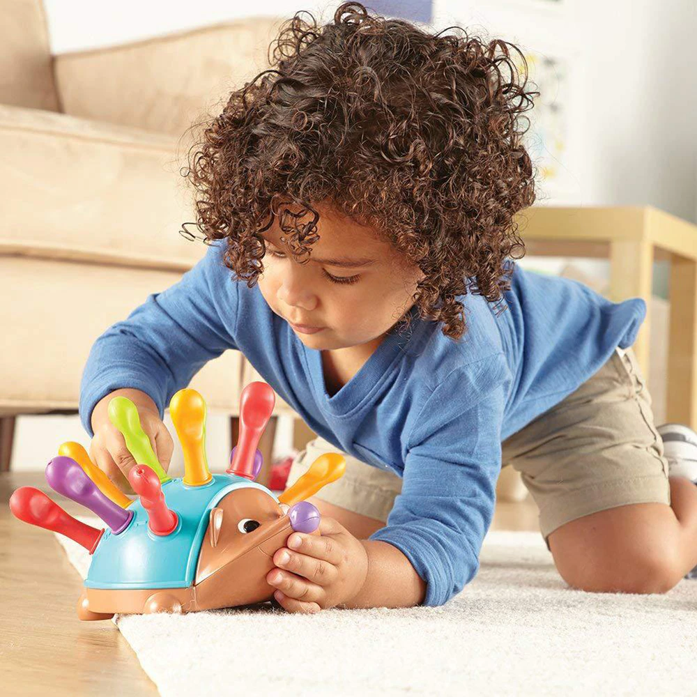Montessori Hedgehog Color Sorting Educational Toddler Toy for Fine Motor Skills Development