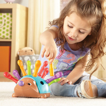 Montessori Hedgehog Color Sorting Educational Toddler Toy for Fine Motor Skills Development