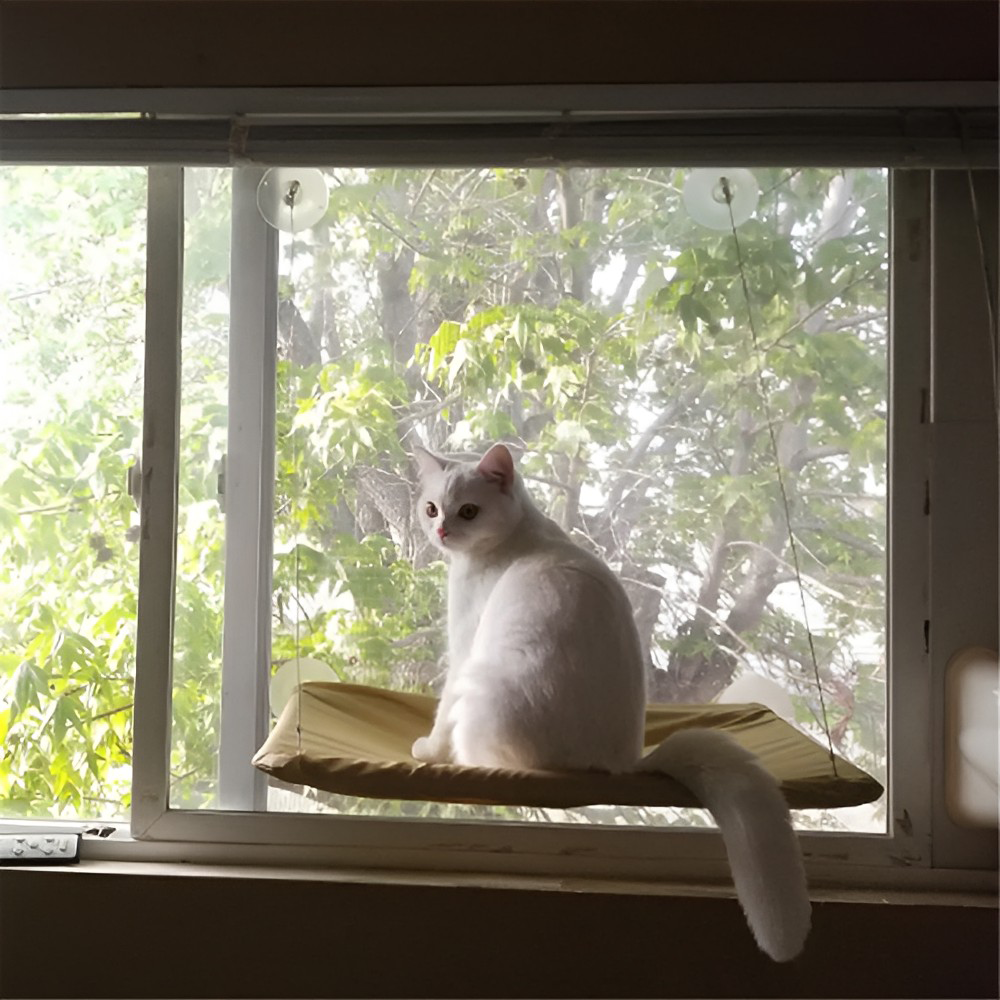 Cat Hammock