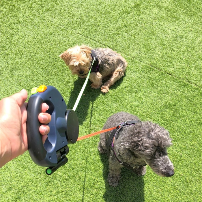 2 Dog Retractable Leash – Retractable Leash for Two Dogs