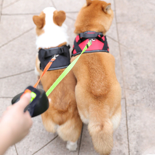 2 Dog Retractable Leash – Retractable Leash for Two Dogs