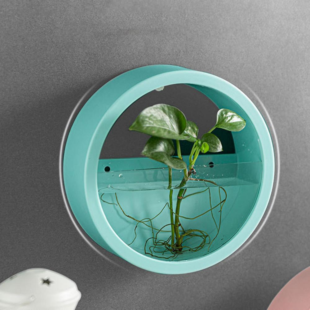 Orbicular Wall Plant Vase