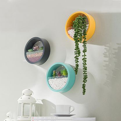 Orbicular Wall Plant Vase