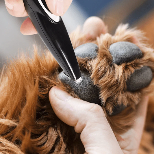 EasyGroom Electric Pet Grooming Trimmer