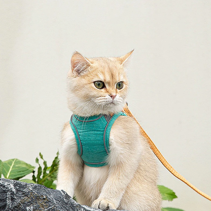 Luminous Escape-Proof Cat Vest Harness and Leash Set – Glow in the Dark, Comfortable & Safe for Cats