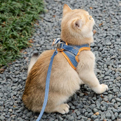Luminous Escape-Proof Cat Vest Harness and Leash Set – Glow in the Dark, Comfortable & Safe for Cats