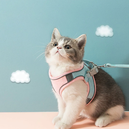 Luminous Escape-Proof Cat Vest Harness and Leash Set – Glow in the Dark, Comfortable & Safe for Cats