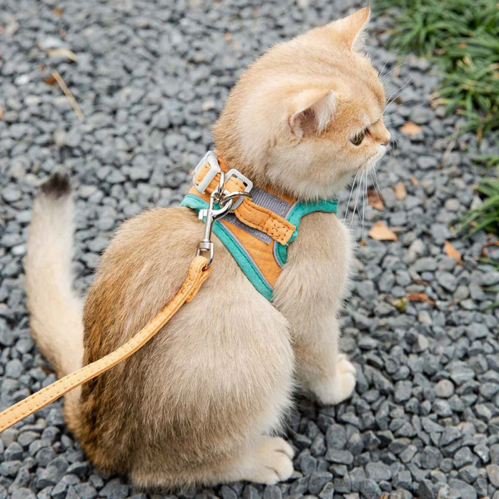 Luminous Escape-Proof Cat Vest Harness and Leash Set – Glow in the Dark, Comfortable & Safe for Cats