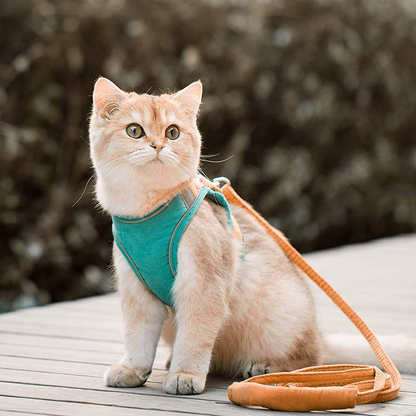 Luminous Escape-Proof Cat Vest Harness and Leash Set – Glow in the Dark, Comfortable & Safe for Cats