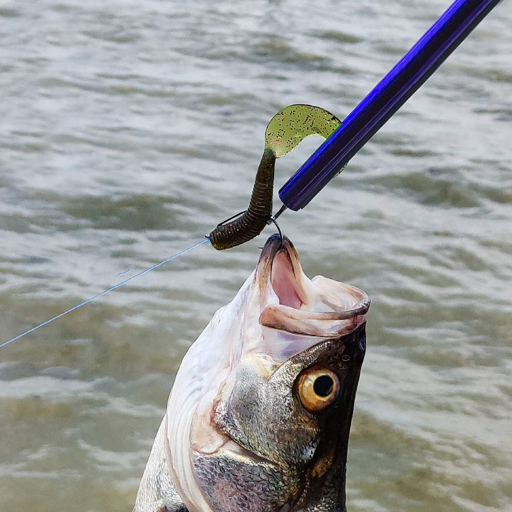 Pro Grip Easy Fish Hook Remover Safe & Portable Fishing Tool