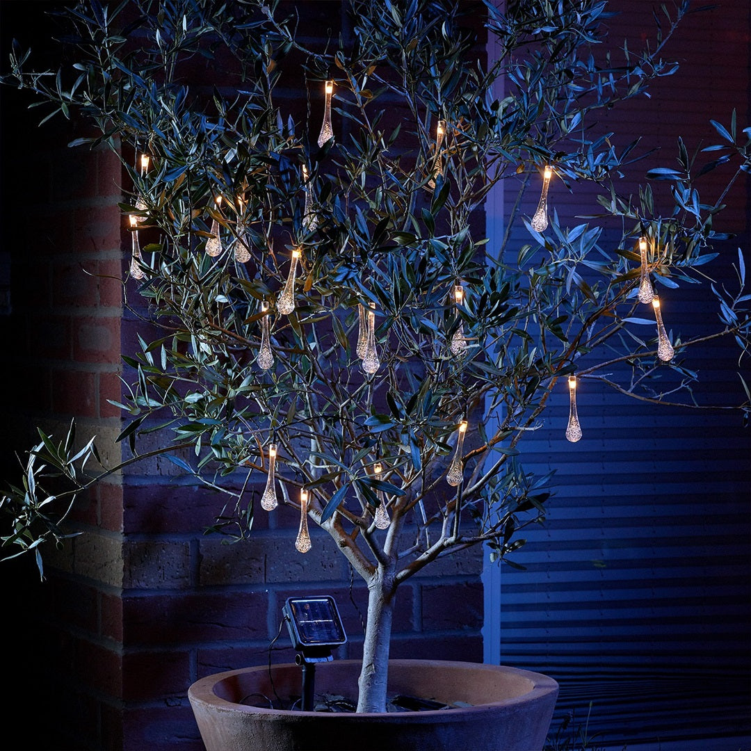 Magical Forest String Lights