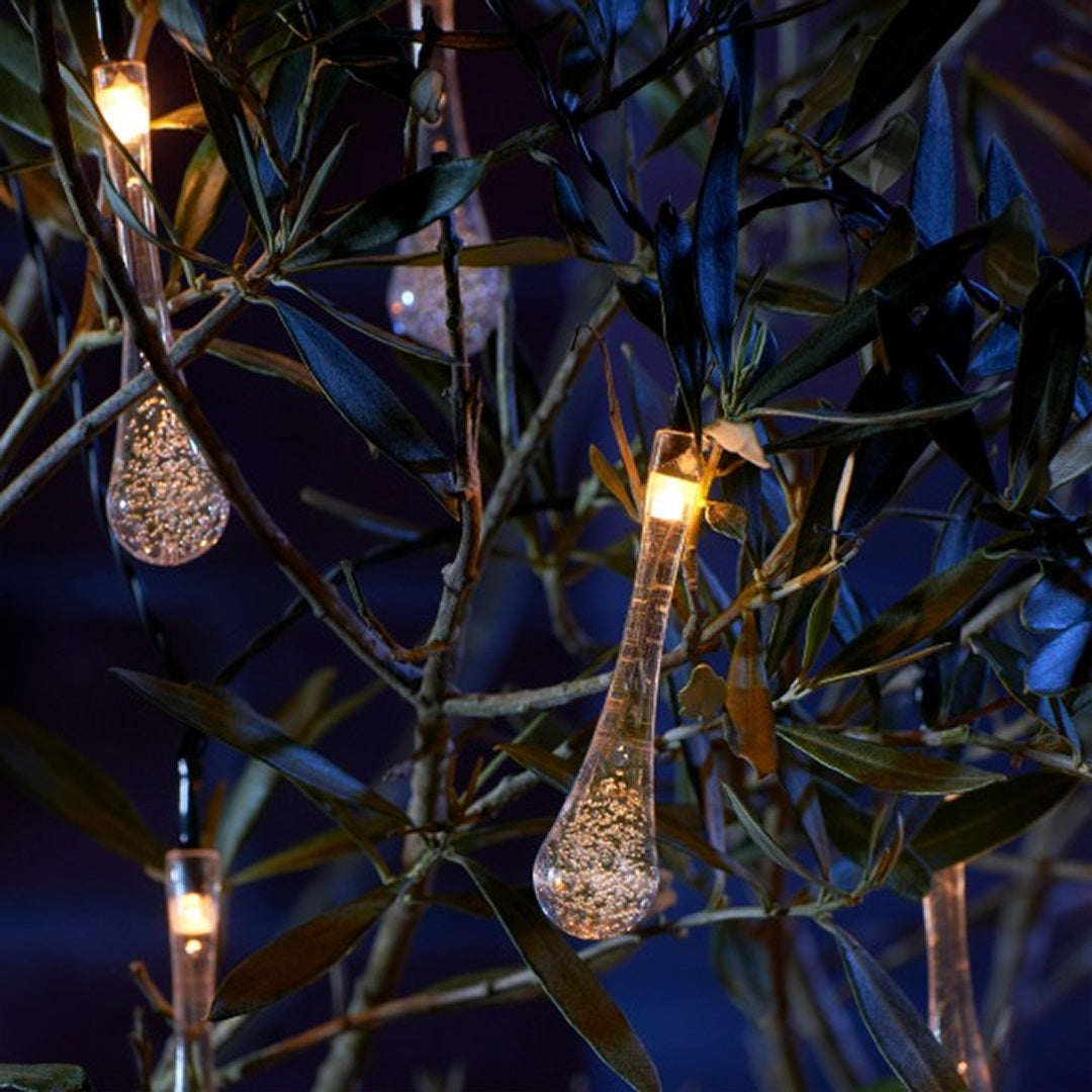 Magical Forest String Lights