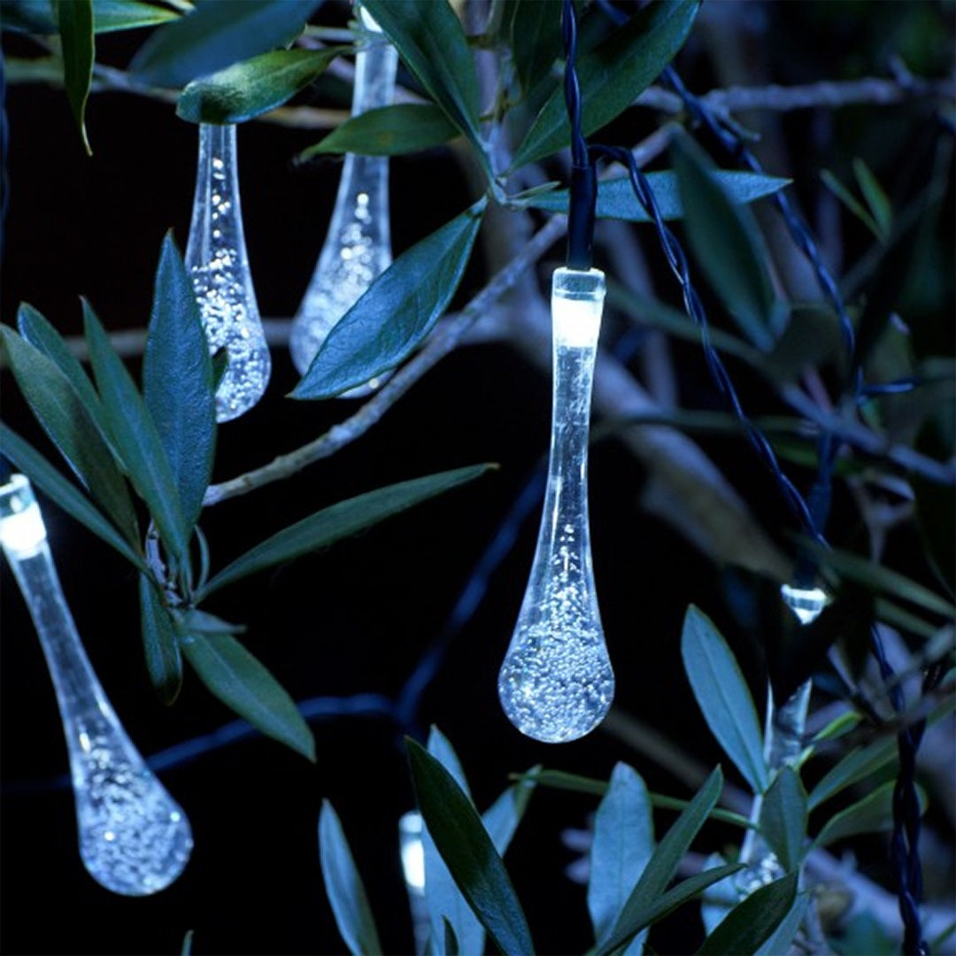Magical Forest String Lights