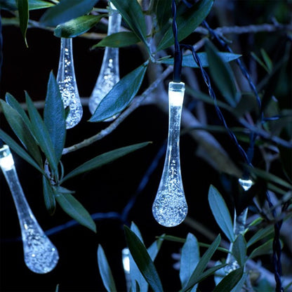 Magical Forest String Lights