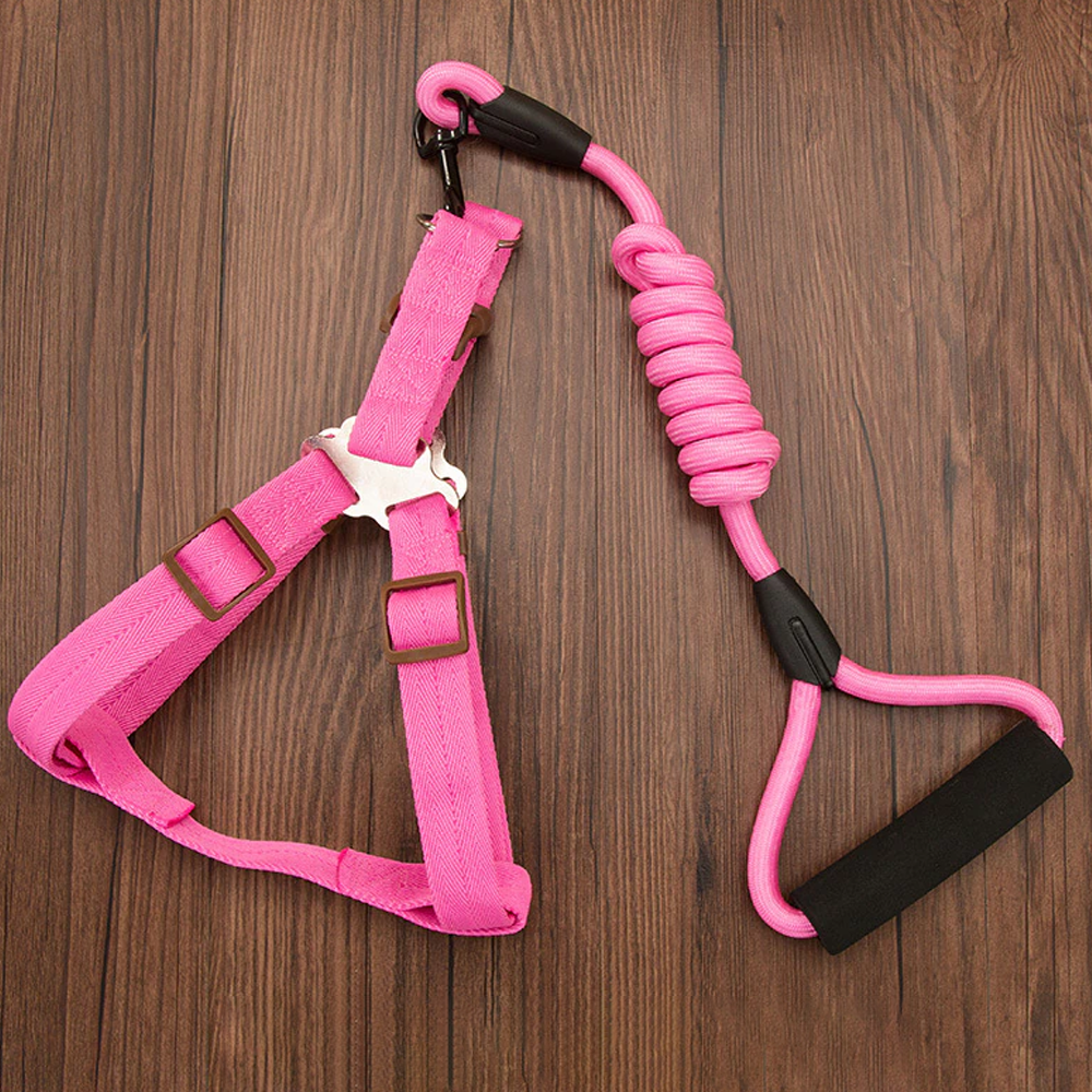 Nylon Rope Dog Leash