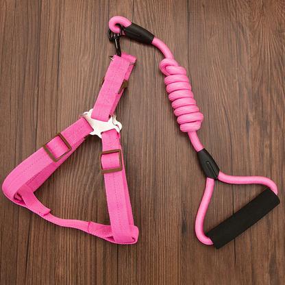 Nylon Rope Dog Leash