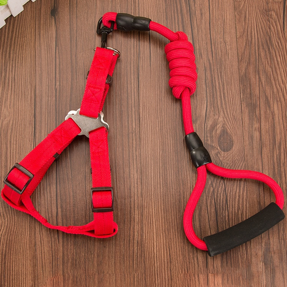 Nylon Rope Dog Leash