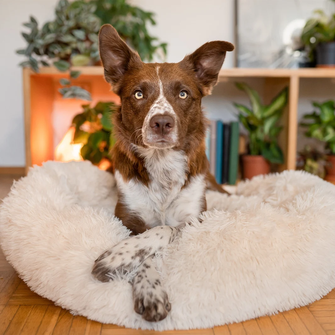 Comfy Faux Fur Pet Bed