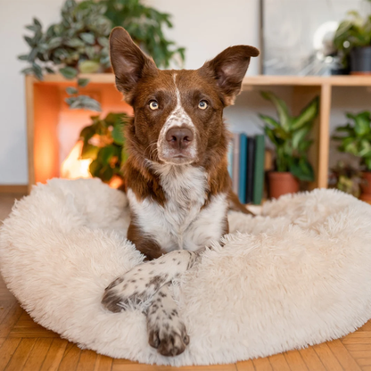 Comfy Faux Fur Pet Bed