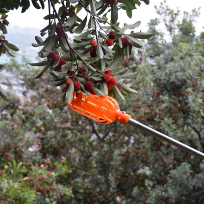 Easy Fruit 2-In-1 Picker & Basket