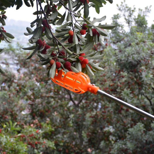 Easy Fruit 2-In-1 Picker & Basket